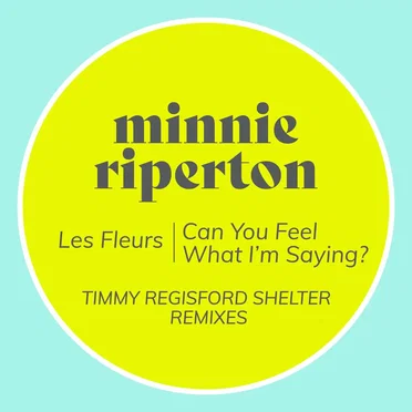 Les Fleurs / Can You Feel What I’m Saying? (Timmy Regisford Shelter remixes)