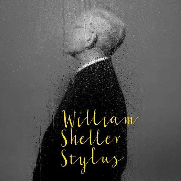 Stylus