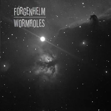 Wormholes by Forgenheim - album cover