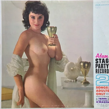 Adam Stag Party Record 2: Songs For Adults Only