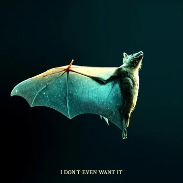 I Don’t Even Want It