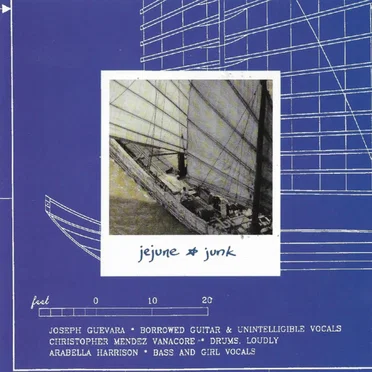 Junk