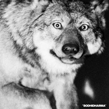 Bodhidharma by Agriculture - album cover