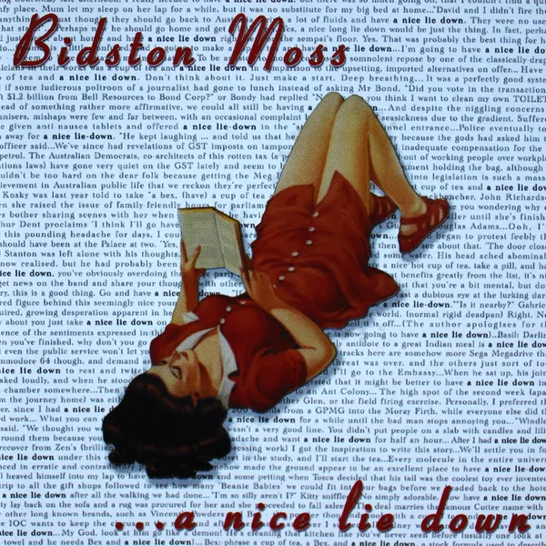 A Nice Lie Down