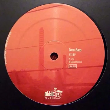 313 EP by Tom Bass - album cover