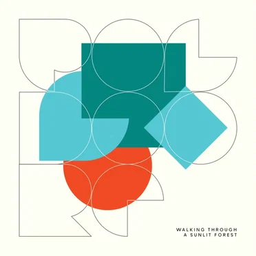 Walking Through a Sunlit Forest