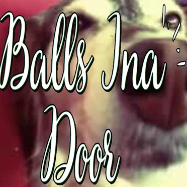 Balls Ina Door by IGKMT - album cover