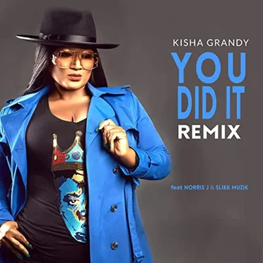 You Did It (remix)