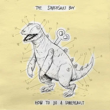 How to Do a Somersault
