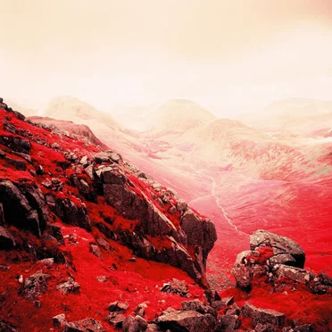 Terrestre