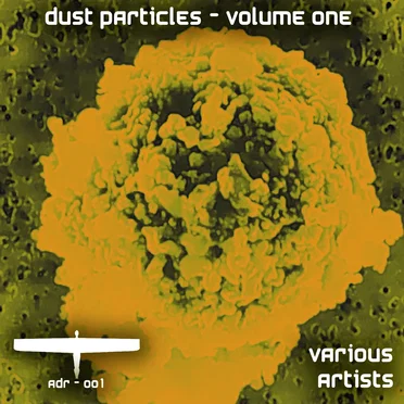 Dust Particles, Volume One by Various Artists - album cover