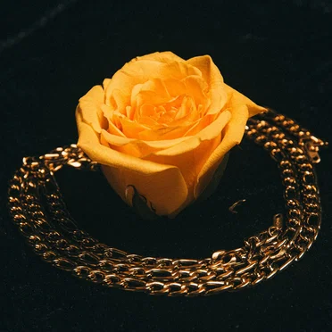 The Golden Rose
