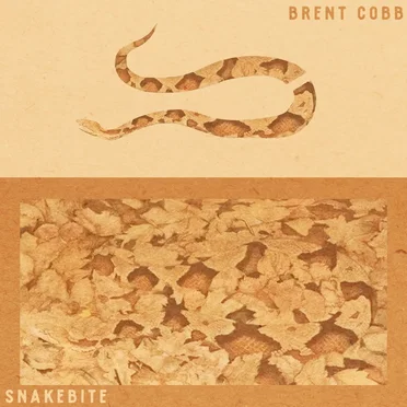 Snakebite