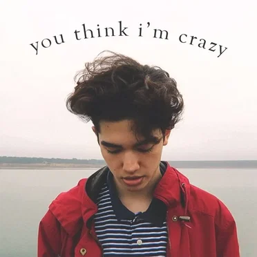 You Think I’m Crazy by Conan Gray - album cover
