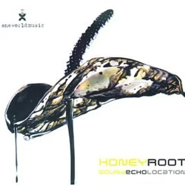 Sound Echo Location by Honeyroot - album cover