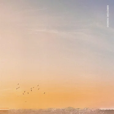 Seagull by Hiroyuki Kondo - album cover