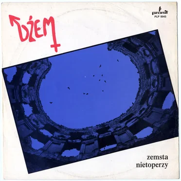 Zemsta nietoperzy