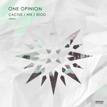 Cactus by One Opinion - album cover