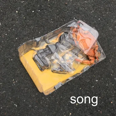 song