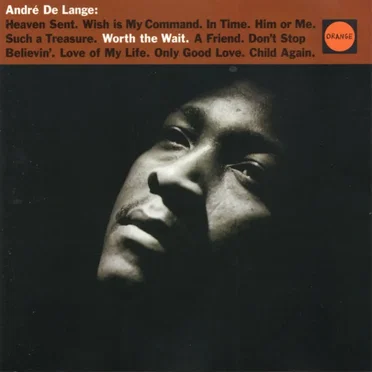 Worth the Wait by André De Lange - album cover