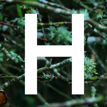 Hollows by Ablu - album cover