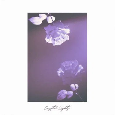 Crystal Lights