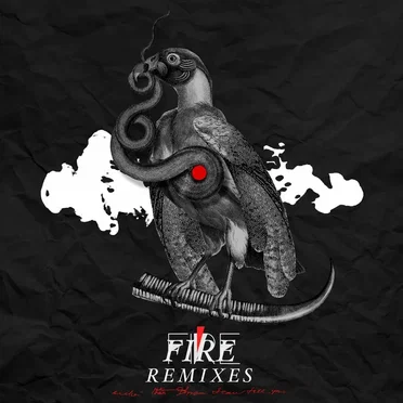 Fire (remixes)