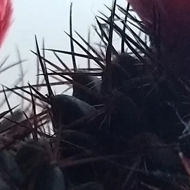 December on to the Following February
