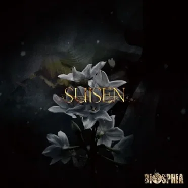 SUISEN
