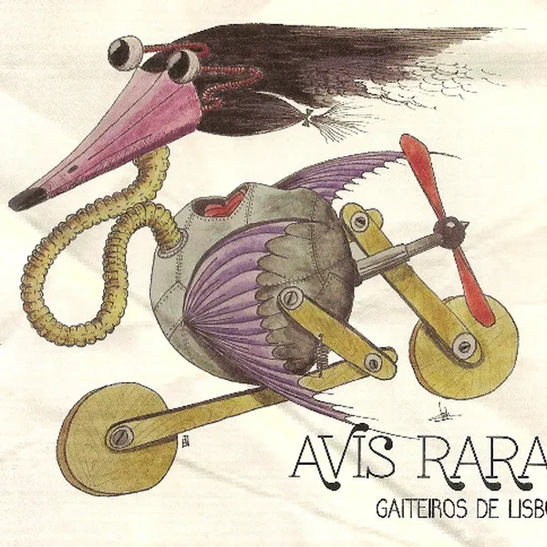 Avis Rara
