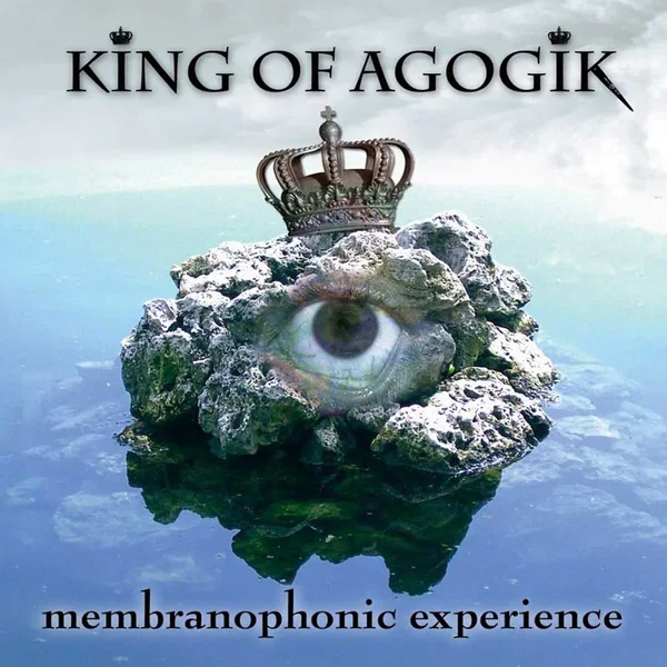 Membranophonic Experience