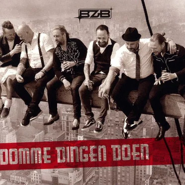 Domme dingen doen