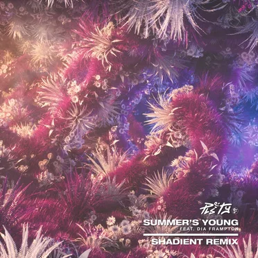Summer's Young (Shadient remix)