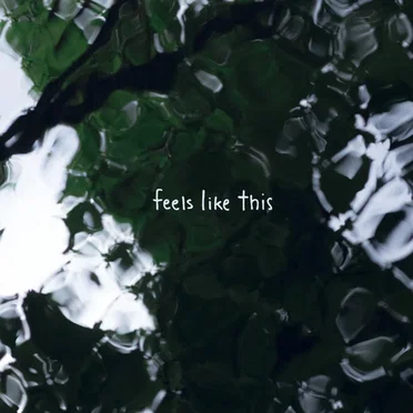 Feels Like This by Sean Angus Watson - album cover