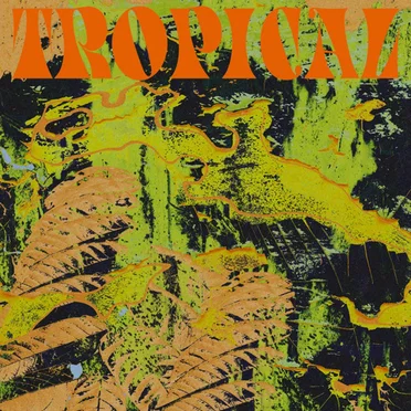 Tropical by CV Vision - album cover