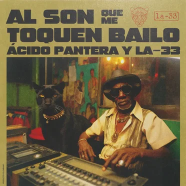 Al son que me toquen bailo