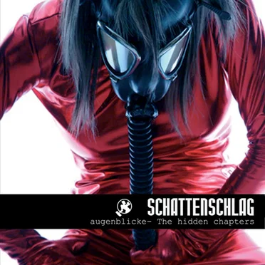 Augenblicke (The Hidden Chapters) by Schattenschlag - album cover