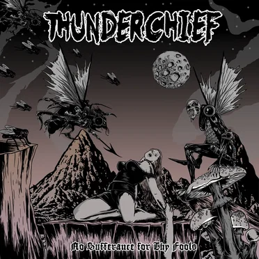 No Sufferance for Thy Fools by Thunderchief - album cover