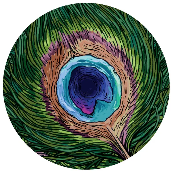 Plume