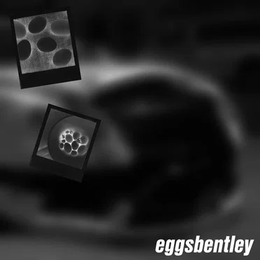 EGGS BENTLEY