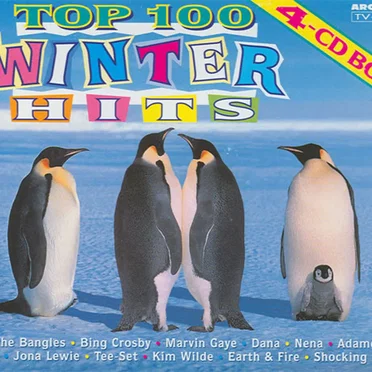 Top 100 Winter Hits by Various Artists - album cover