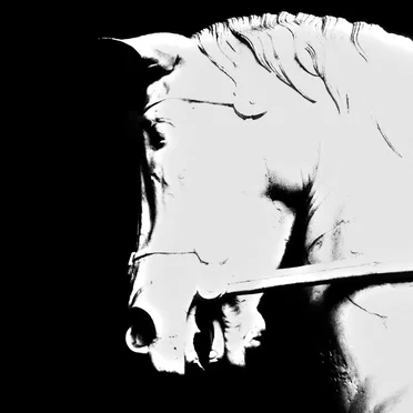 Birth / Memory