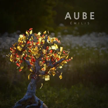Aube