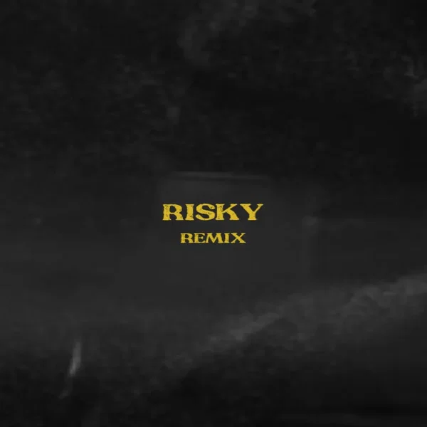 Risky (Remix)