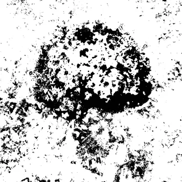 The Doomed Cycle by And We Walk Endlessly Towards the Sun - album cover