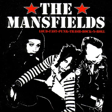 Loud, Fast, Punk, Trash, Rock 'n' Roll