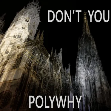 Don't You by Polywhy - album cover