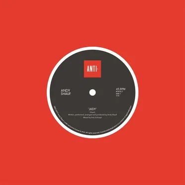 Judy / Jeremy’s Wedding by Andy Shauf - album cover