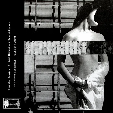Transcontinental Collaboration by Sterile Garden - album cover
