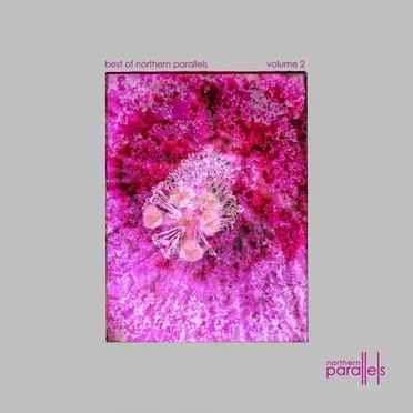Best Of Northern Parallels Volume 2 by Various Artists - album cover